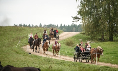 Zirgu sēta "Klajumi"