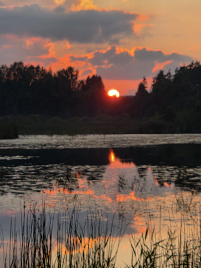 velo latgale