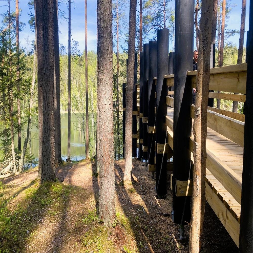 Koka laipa mežā