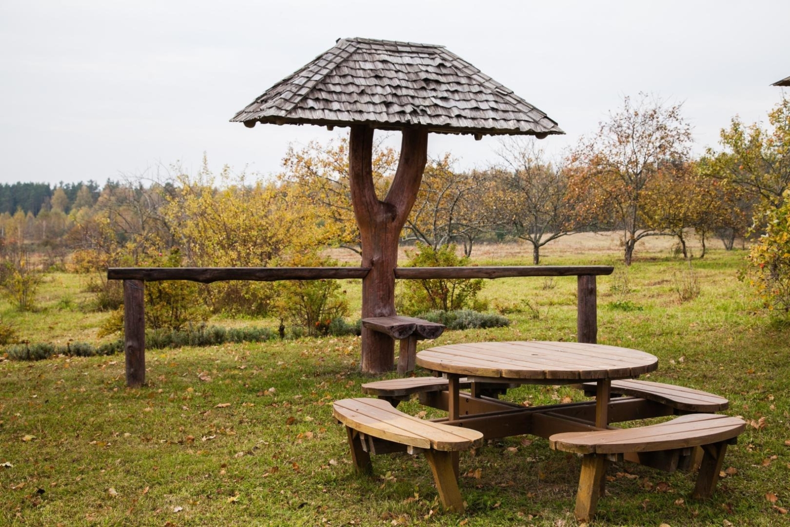 Lapene ar piknika galdu