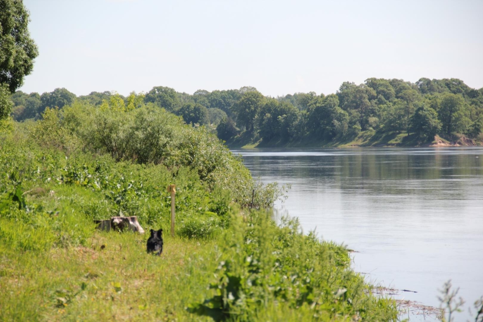 Daugava un tās krasts