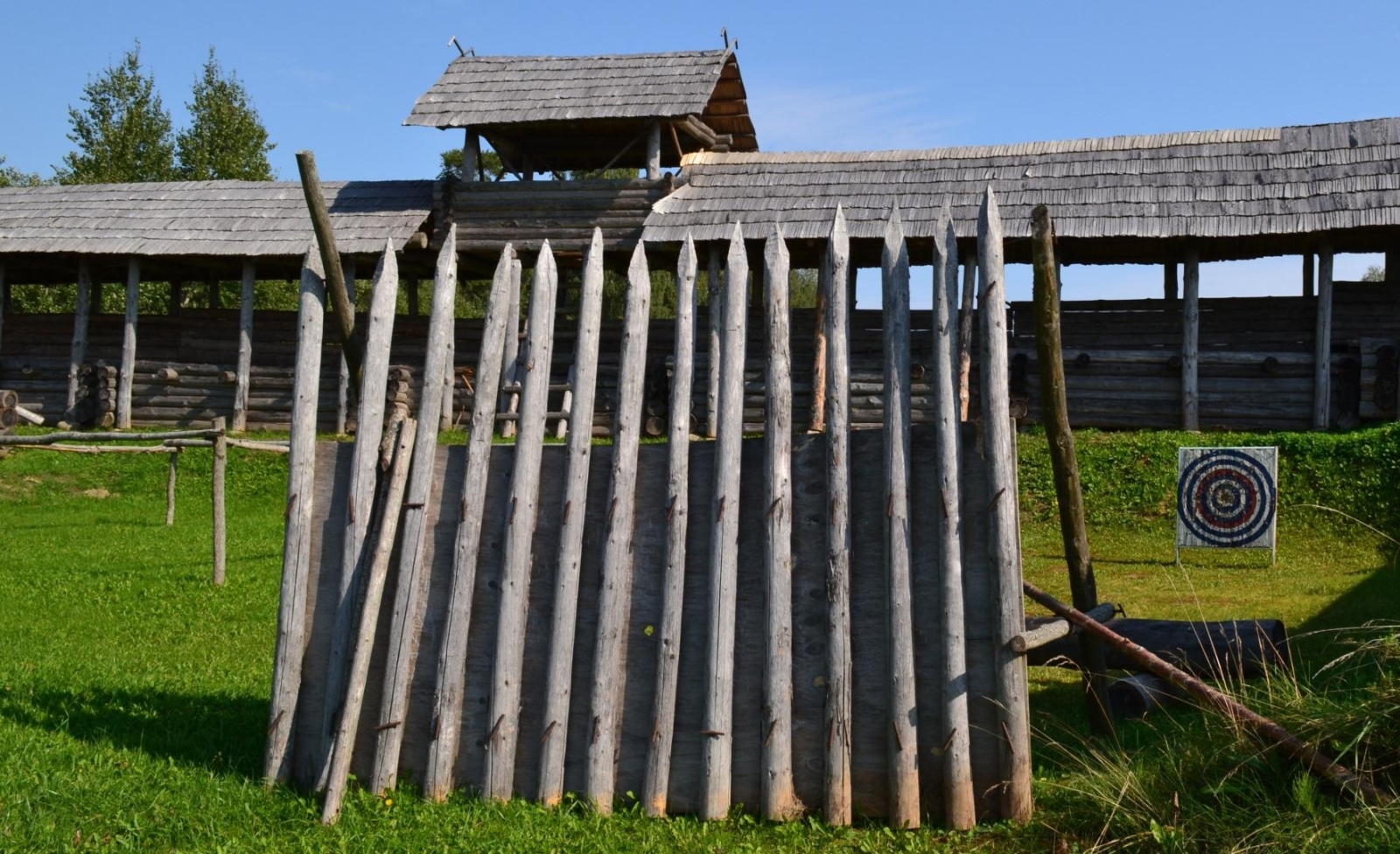 Koka nocietinājums un mērķis
