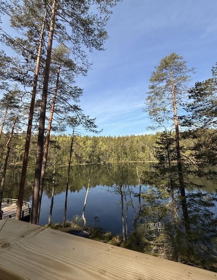 Velnezers no koka skatu platformas