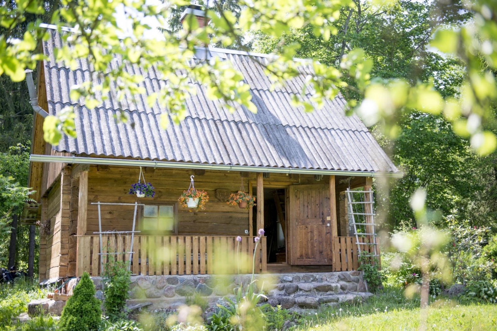 Brīvdienu māja starp kokiem