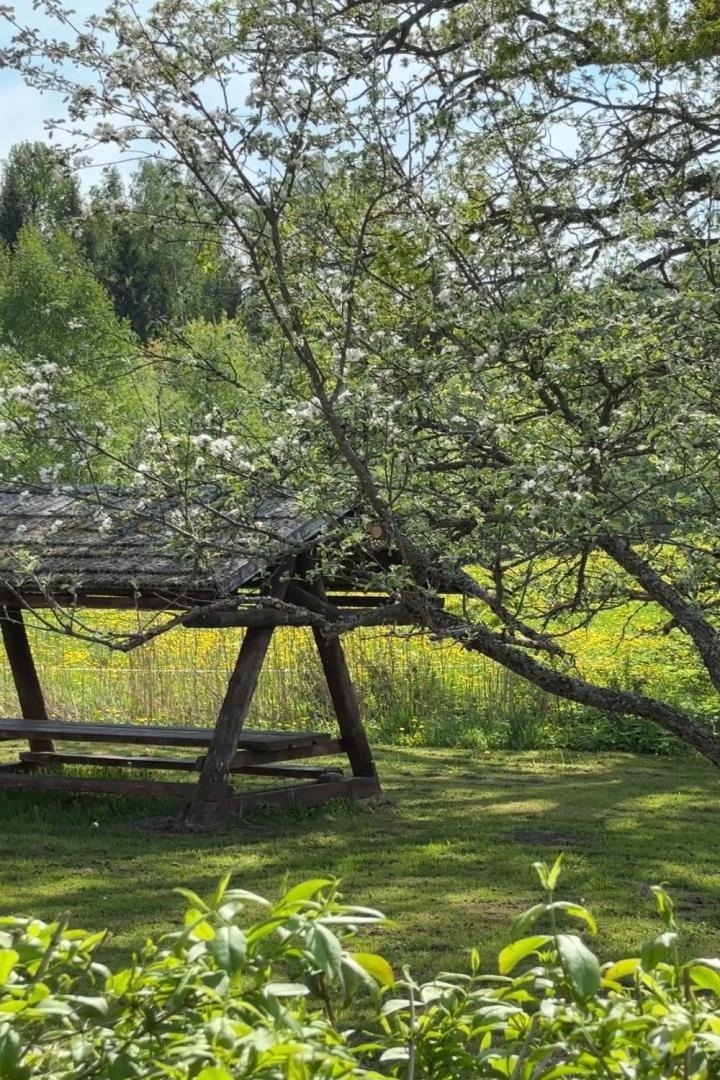 Atpūtas vieta