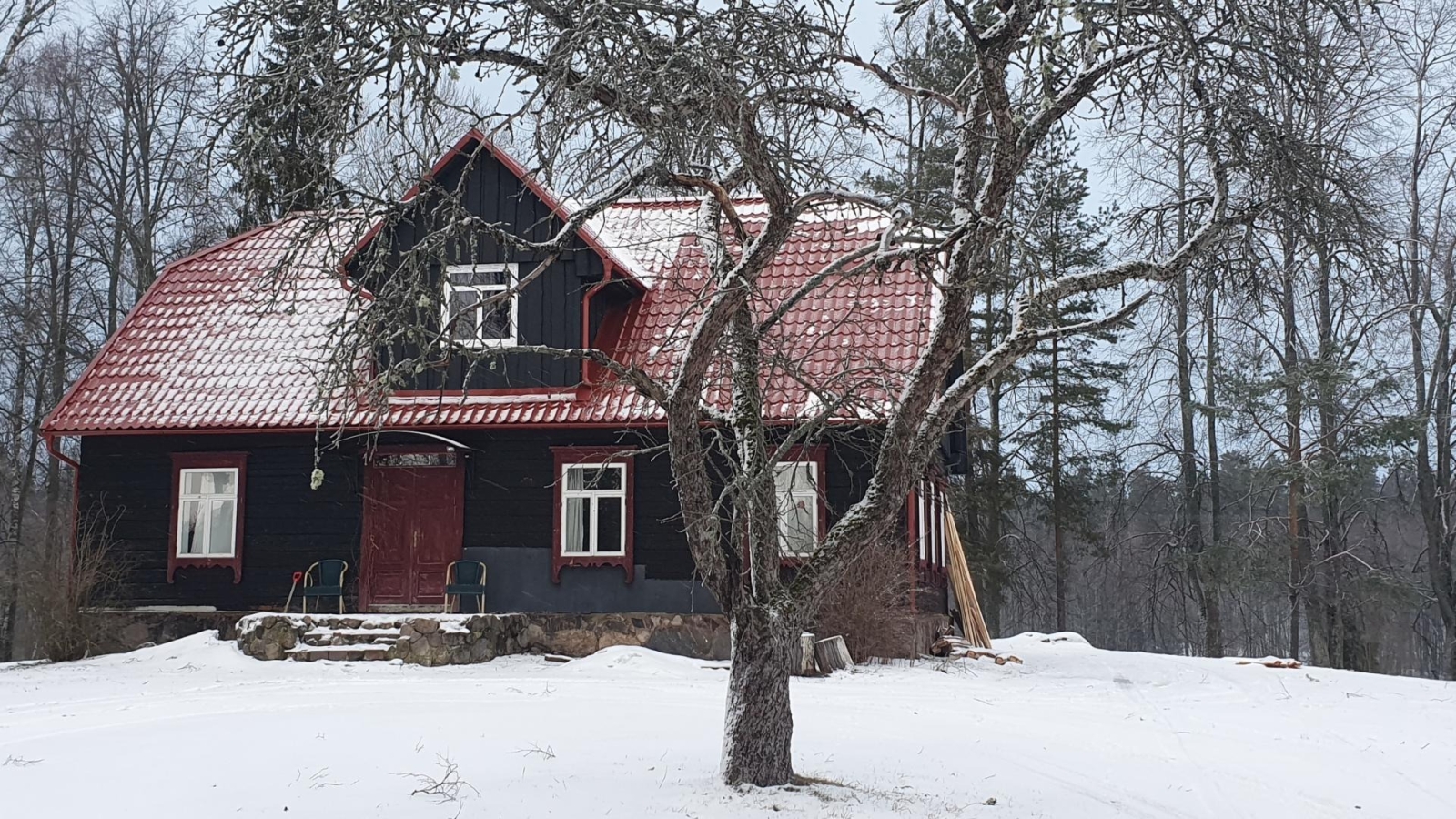 Koka māja ziemā