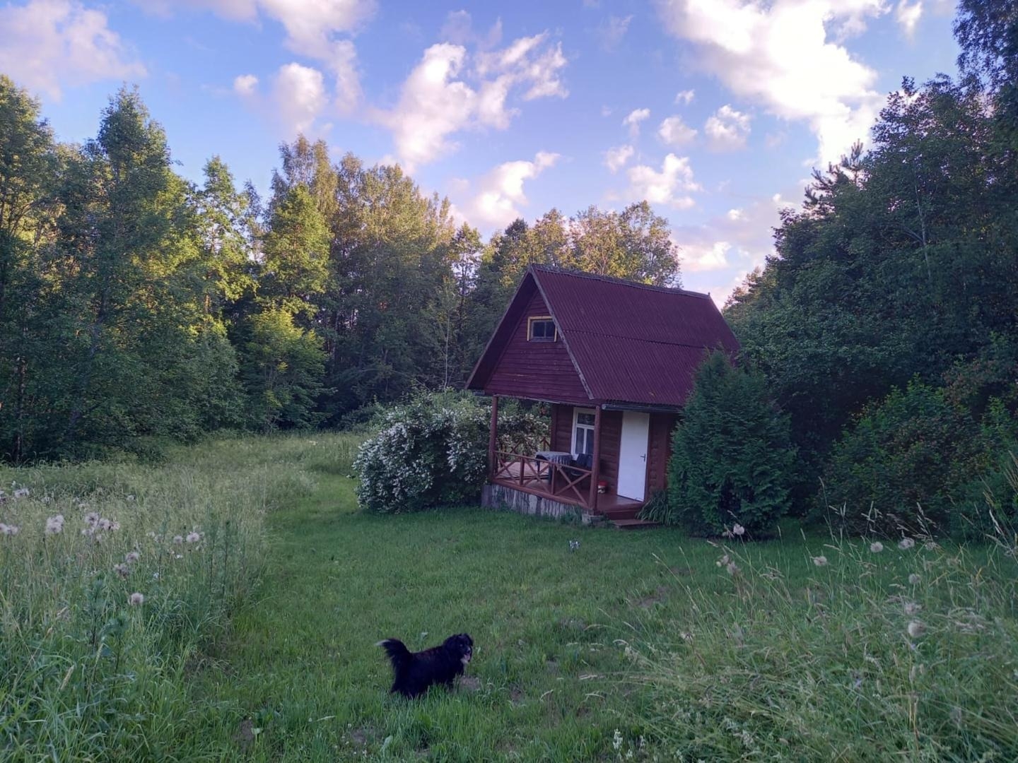 Lauku māja pagalmā