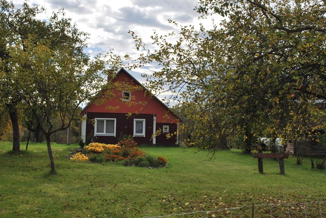 Koka māja