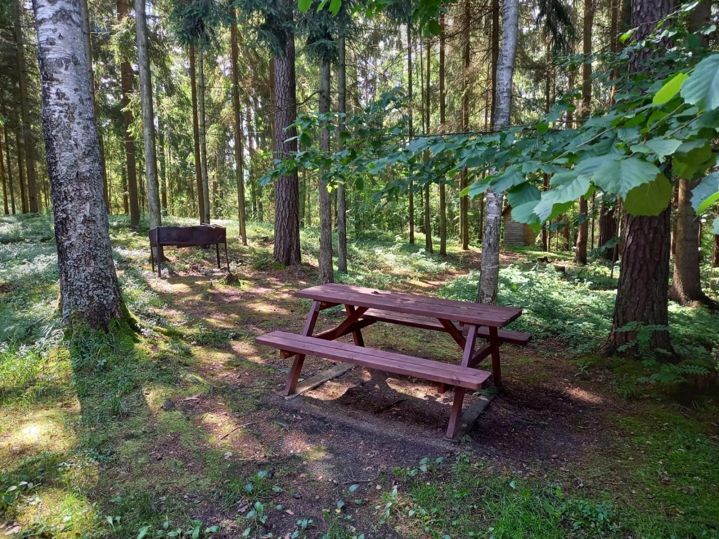 Piknika vieta mežā