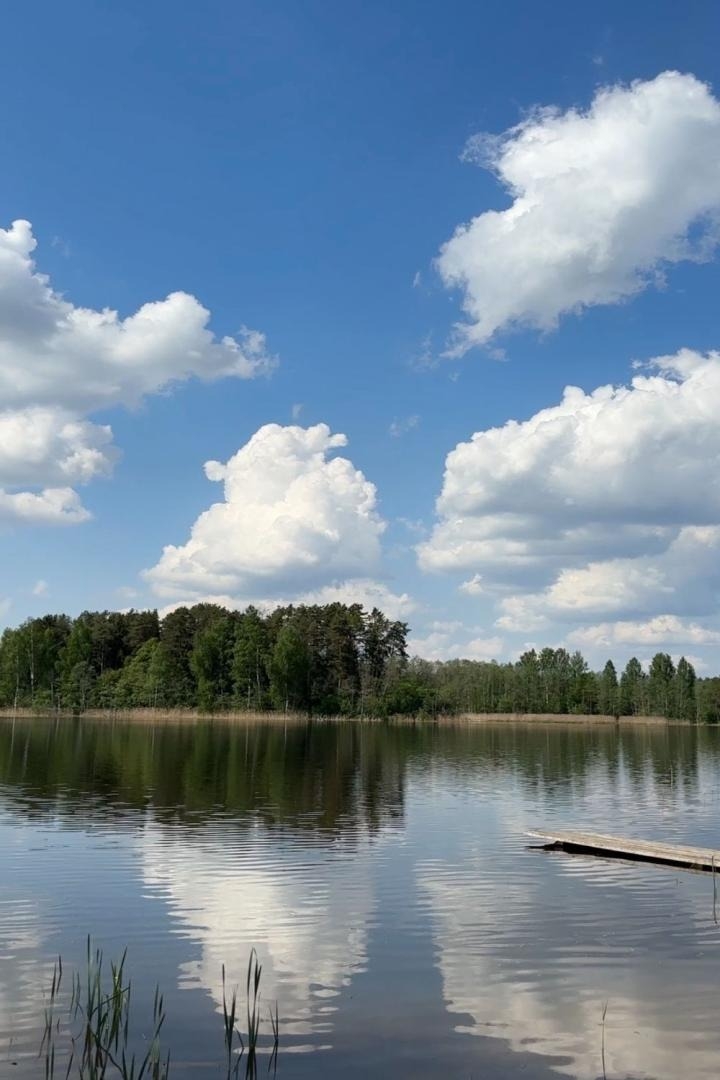 Ezers ar laipu