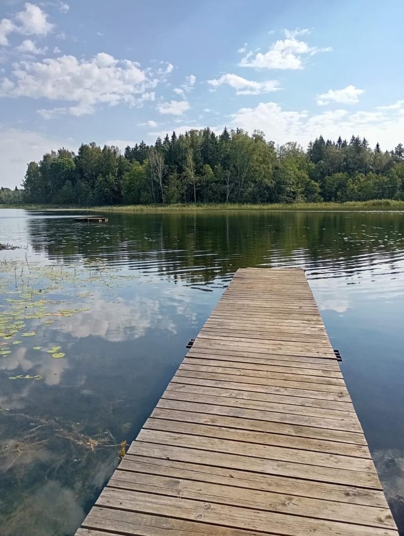 Koka laipa ezerā