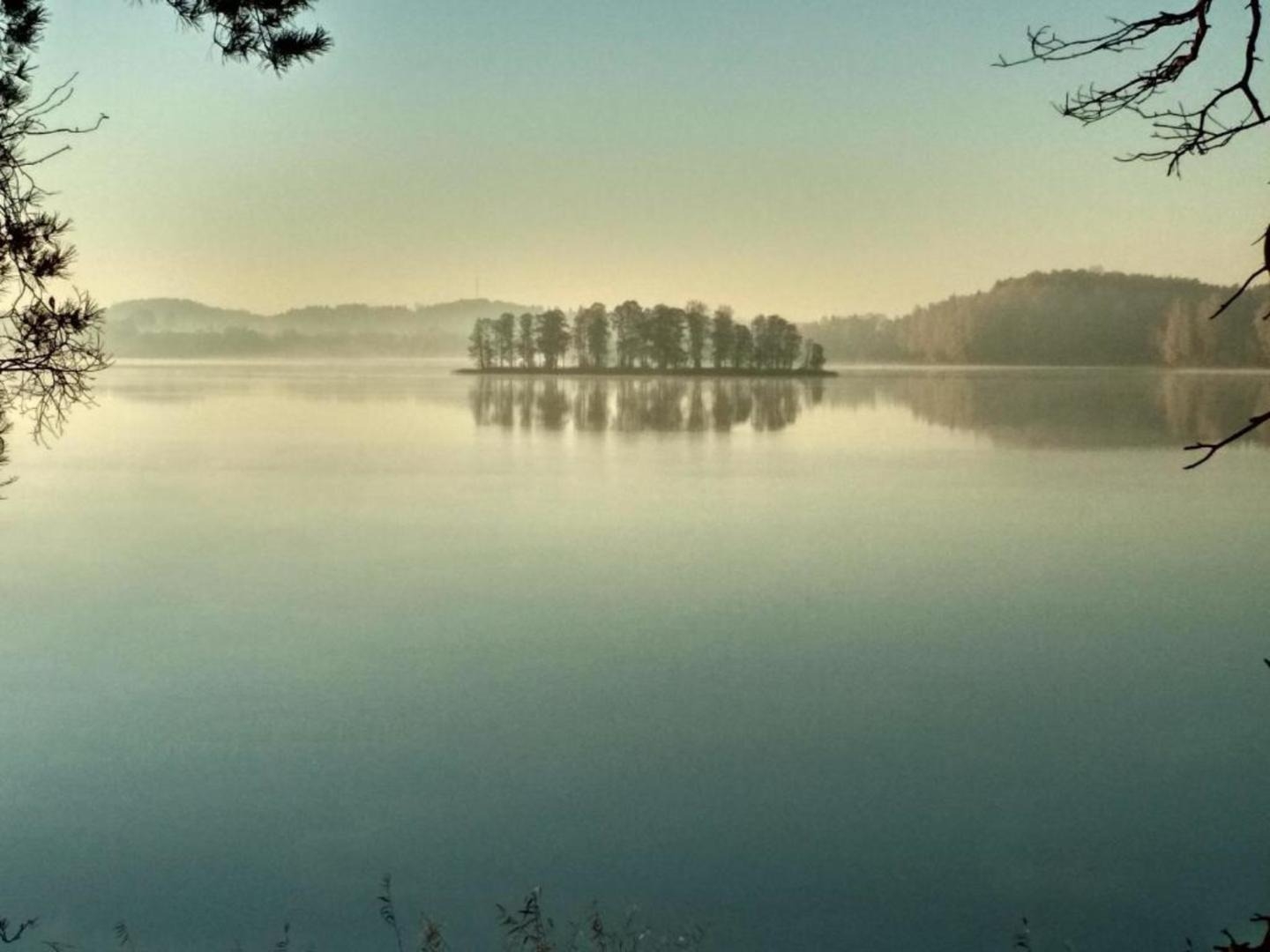 Rīta migla virs ezera