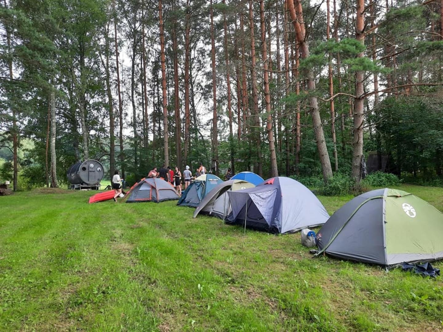 Telšu vieta