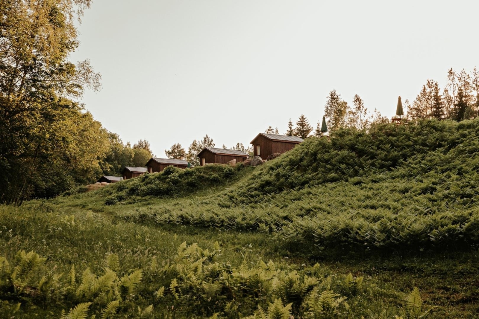 Pļava pie kompleksa
