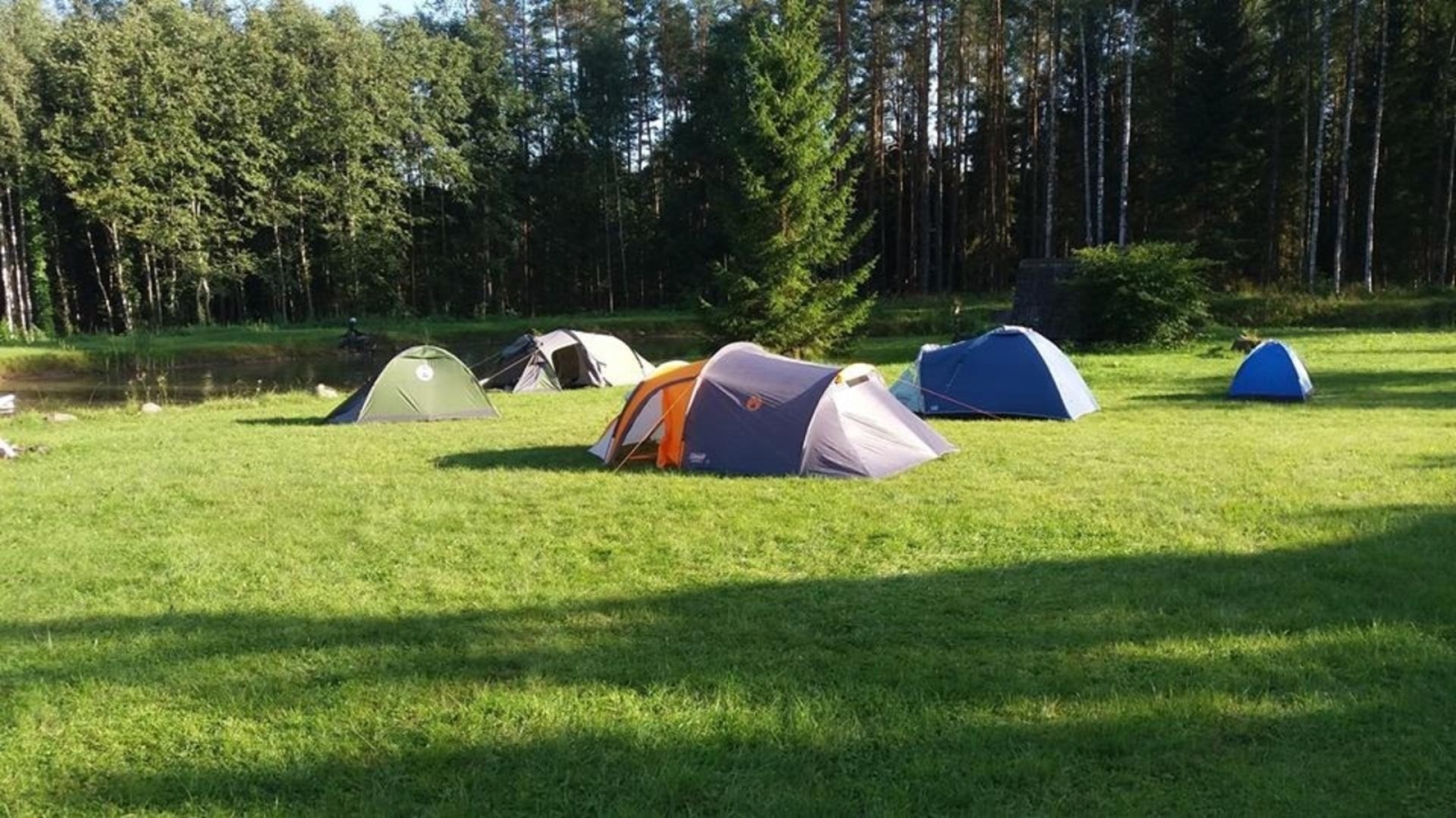 Telšu vieta