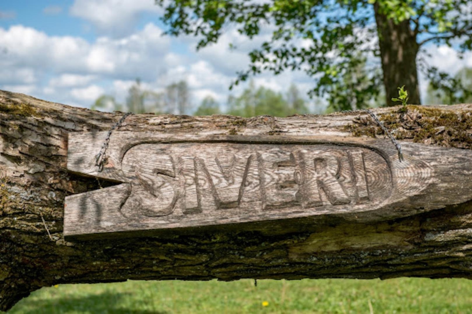Koka izkārtne "Sīveri"