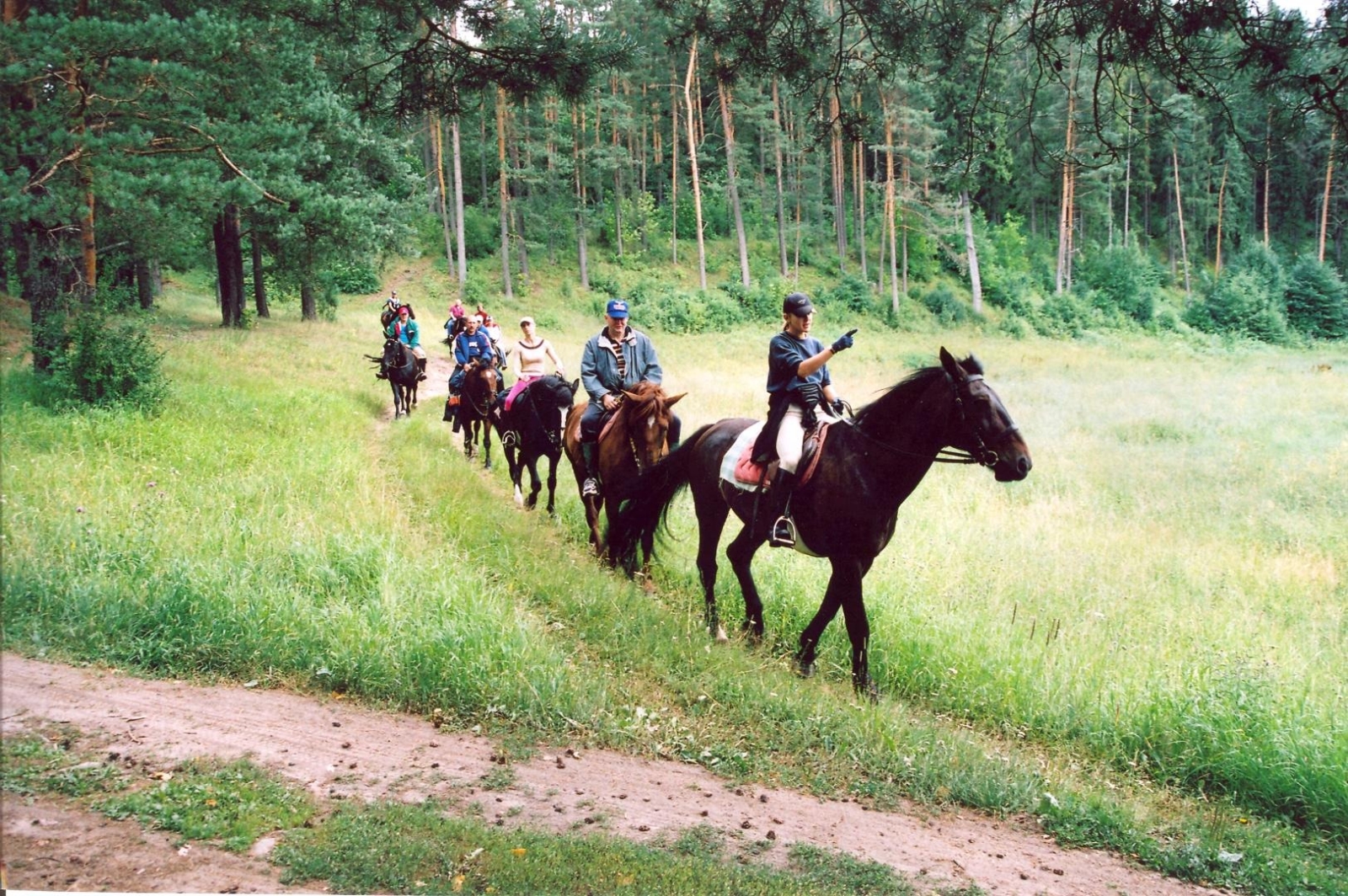 Izjāde ar zirgiem