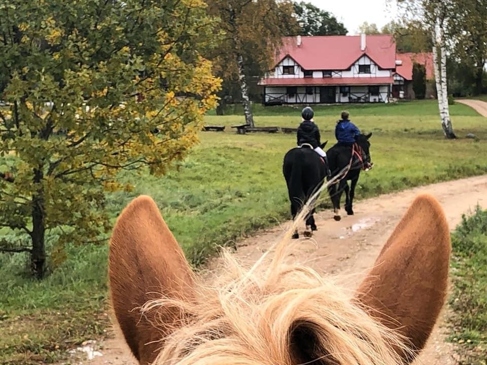 Izjāde pa lauku ceļu
