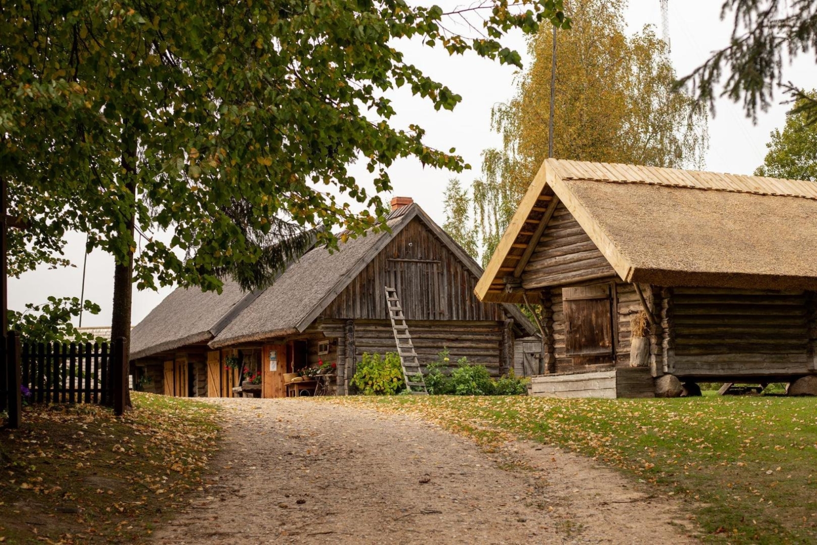 Andrupenes lauku sēta