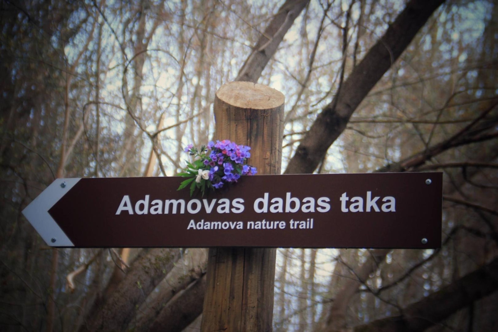 Norāde “Adamovas dabas taka”