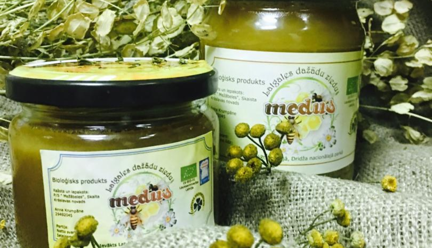 Brīvdienu māja "Mežābeles"