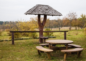Lapene ar piknika galdu