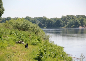 Daugava un tās krasts