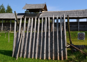 Koka nocietinājums un mērķis