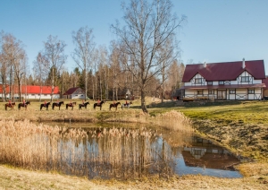 Dīķis pie viesu mājas