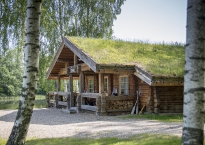 Koka brīvdienu māja