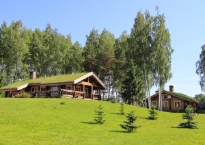 Brīvdienu māja pagalmā