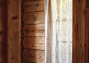 Logs koka sienā