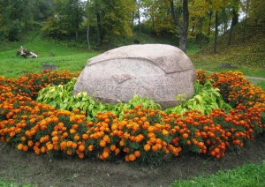 Daugavas akmens ziedu ieskauts