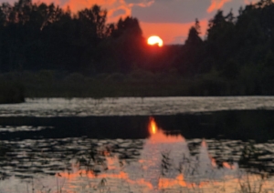 velo latgale