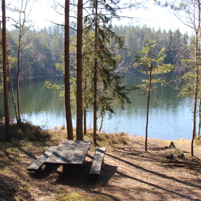 Asariņa taka