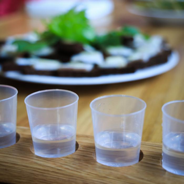 Uzņēmums “GheorgheBirca”