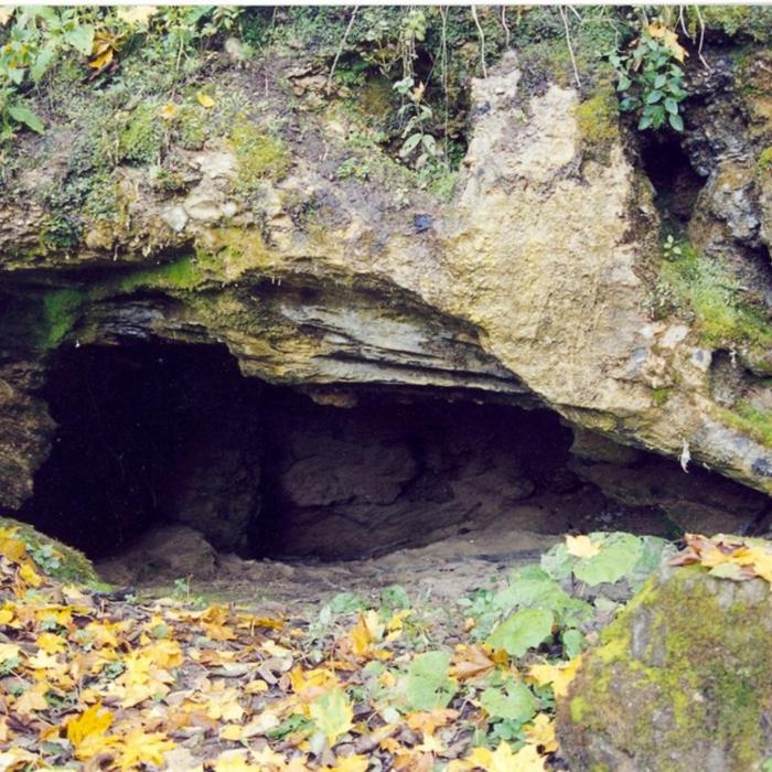 Dagdas muižas parks ar alu